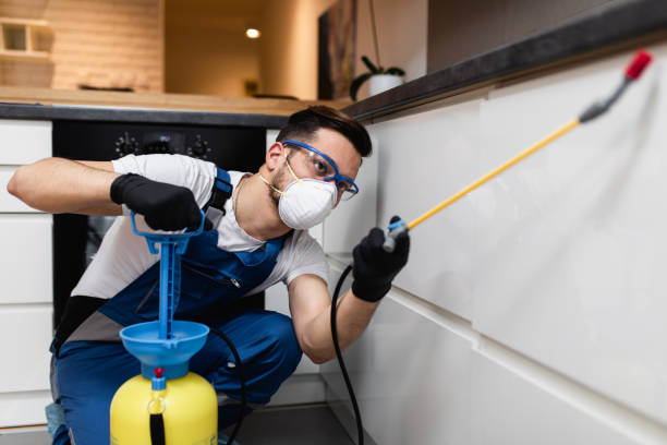 Best Rat Extermination Near Me  in Monessen, PA