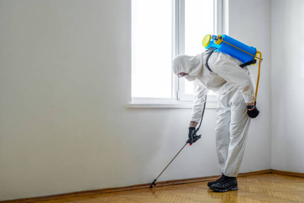 Professional Pest Control in Monessen, PA