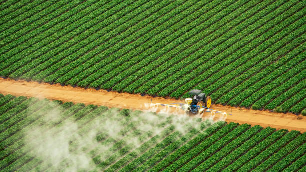 Best Commercial Pest Control Services  in Monessen, PA