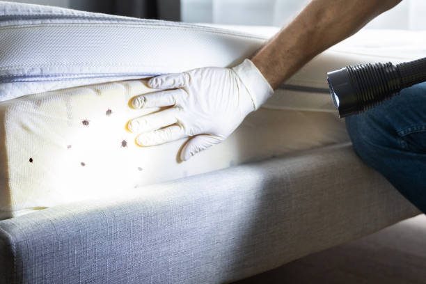 Best Residential Pest Control  in Monessen, PA