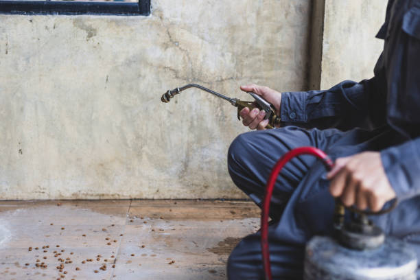 Best Pest Control Near Me  in Monessen, PA